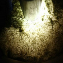 琳轩赌石天然缅甸翡翠原石毛料玉石直播拍卖南齐全赌料皮壳翻沙